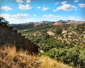 Border Fence