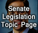 Senate Bill S.744 Topic Page