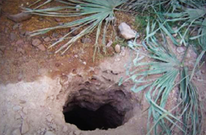 Surface of Tunnel