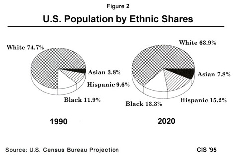 Graph: US Population by Ethnic Shares