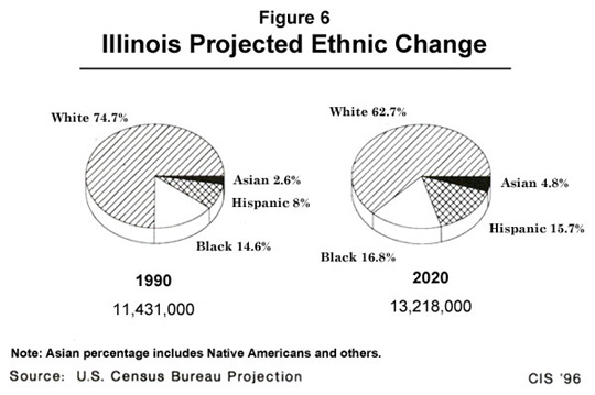 Graph: Illinois Project Ethnic Change