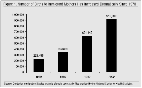 Graph: Number o Births to Immigrant Mothers has Increased Dramatically since 1970