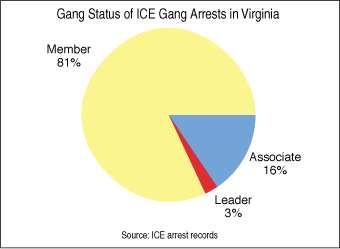 Graph: Gang Status pf ICE Gang Arrests in VA