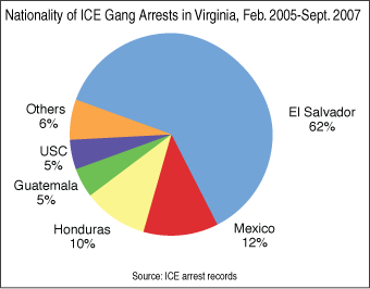 Graph: Nationality of ICE Gang Arrests in VA, Feb 2005 to Sept 2007