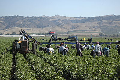 Farm Labor