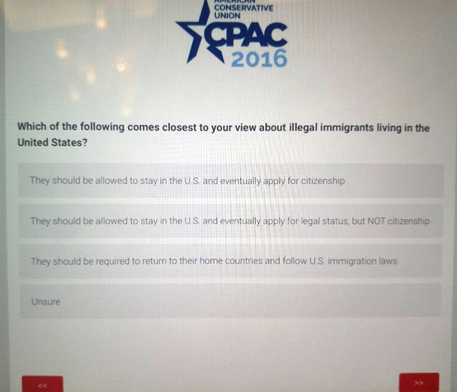 cpac immigration poll