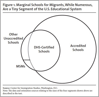 Graph: Marginal Schools for Migrants, While Numerous, Are a Tiny Segment of the US Education System