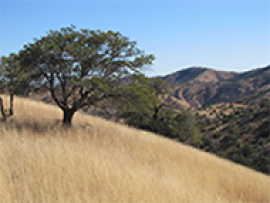 Arizona, Spring 2019