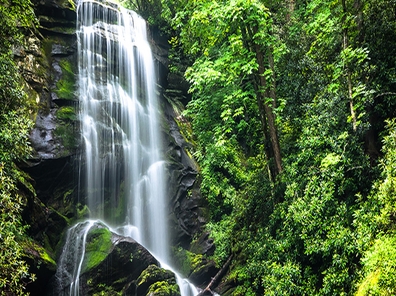 Immigration and Environmental Laws